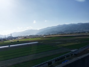 ehime_4333