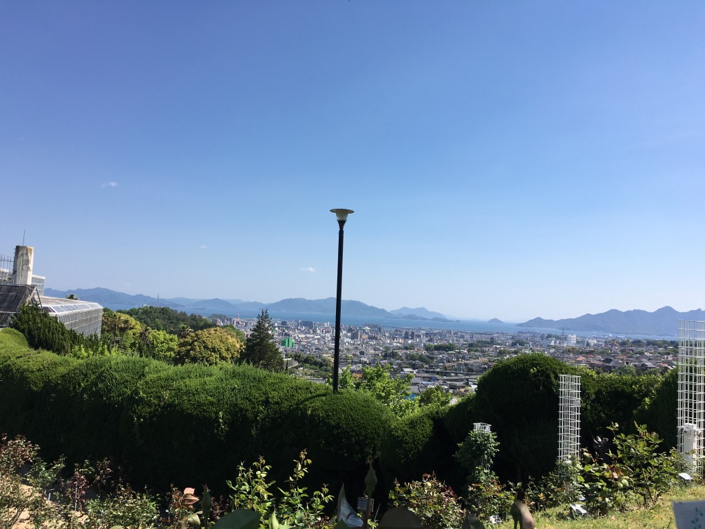 バラ園